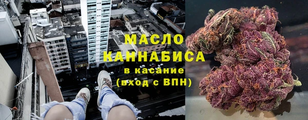 гашик Россошь