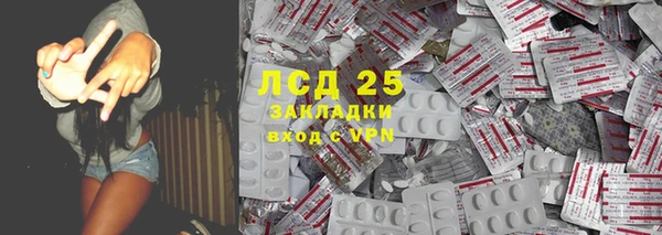 гашик Белокуриха