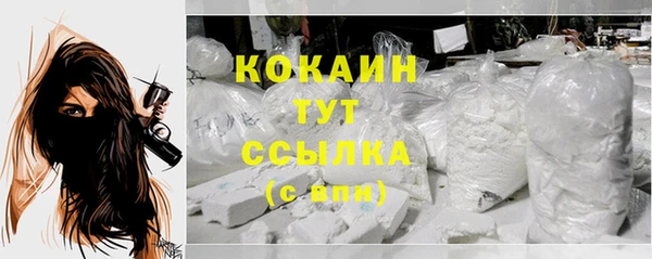гашик Белокуриха