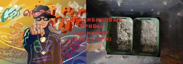 гашик Белокуриха
