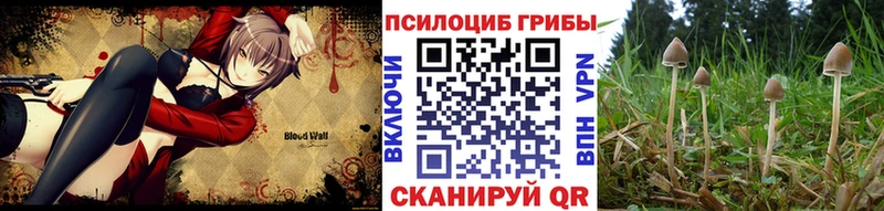 Псилоцибиновые грибы Cubensis  Кологрив 